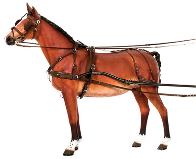 Fitting Carriage Driving Harness