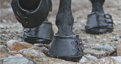 A Guide to Hoof Boots for Your Horse: Which Horses Can Use Them, the Benefits & Types of Hoof Boots