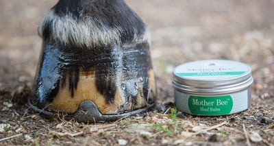 Introducing Mother Bee™: 100% Natural Products for You and Your Horse