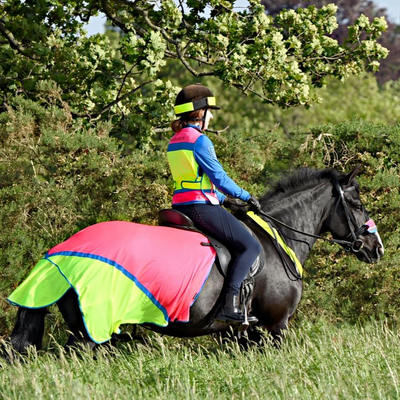 How to Stay Safe and Be Seen with Equisafety's High-Viz