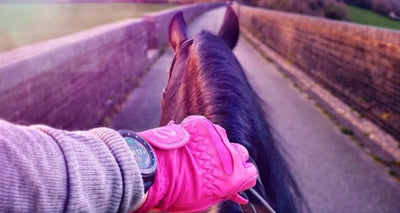 Introducing eGlove: Riding Gloves to Fall in (G)Love With