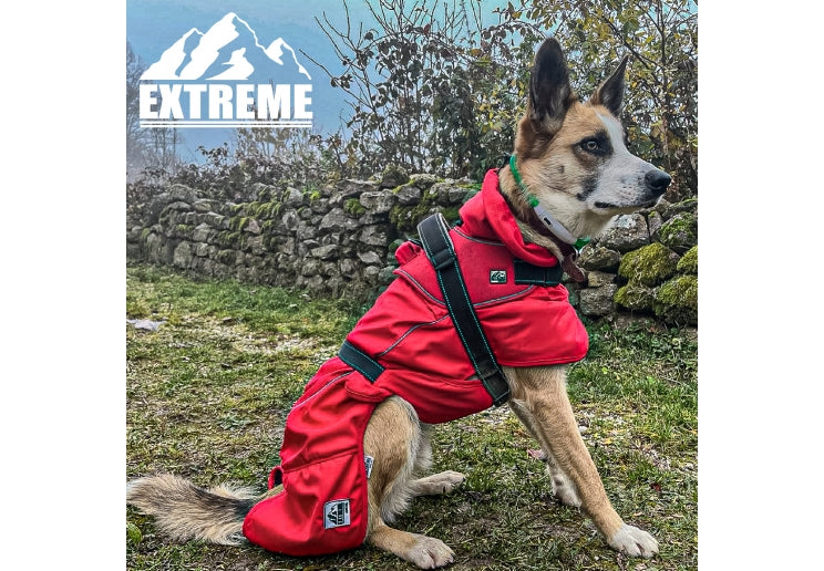 Ancol Extreme Monsoon Dog Coat Red Riding & Harness Stuff