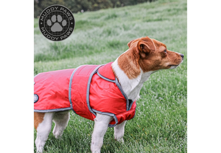 Ancol Stormguard Dog Coat Red Riding Harness Stuff ancol-stormguard-dog-coat-red-riding-harness-stuff