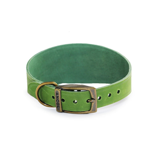 Ancol Dog Collar Size 2 (30-34cm) / Green Ancol Timberwolf Hound Dog Collar