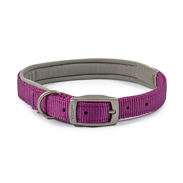 Ancol Dog Collar Size 4 (35-43CM) / Purple Ancol Viva Padded Dog Collar