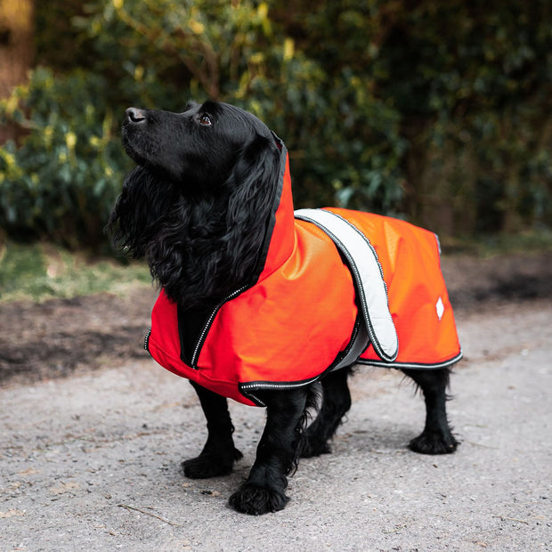 Danish Design Dog Coat Danish Design Ultimate 2-in-1 Dog Coat High Vis Orange