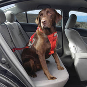Kurgo Dog Harness Kurgo Swivel Seatbelt Tether for Dog Harness