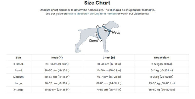 Kurgo Kurgo Tru-Fit Smart Dog Harness with Seatbelt Tether