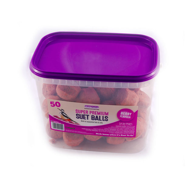 Suet To Go Bird Food 50 Balls Container Suet To Go Super Premium Suet Balls Berry