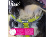 Ancol Dog Harness Ancol Viva Padded Dog Harness