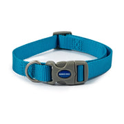 Ancol Dog Collar Size 1-2 (20-30cm) / Blue Ancol Viva Adjustable Dog Collar