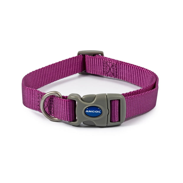 Ancol Dog Collar Size 1-2 (20-30cm) / Purple Ancol Viva Adjustable Dog Collar