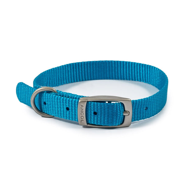 Ancol Dog Collar Size 1 (20-26cm) / Blue Ancol Viva Dog Collar