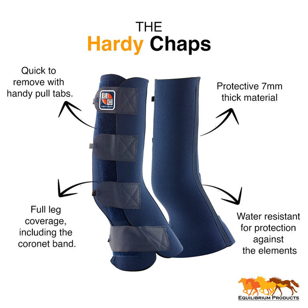 Equilibrium Products Equilibrium Equi-Chaps Hardy Chaps