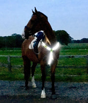 Equisafety Equisafety LED Rechargeable Breastplate