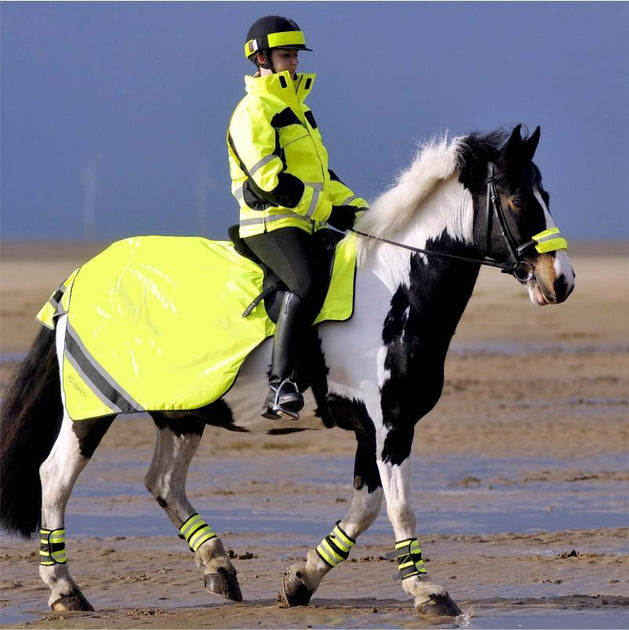 Equisafety Winter Reversible Inverno Jacket Yellow from Equisafety