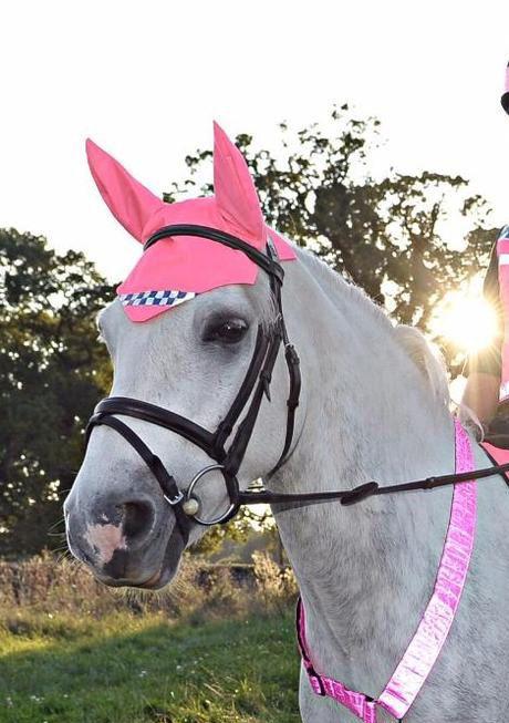 Equisafety Muffler POLITE Reflective Hi Vis Horse Ear Covers - PINK
