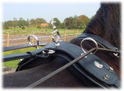 Ideal Driving Harness Ideal Leather Friesian Harness