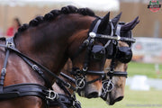 Ideal Driving Bridle Ideal Luxe Driving Bridle Patent Leather Blinkers