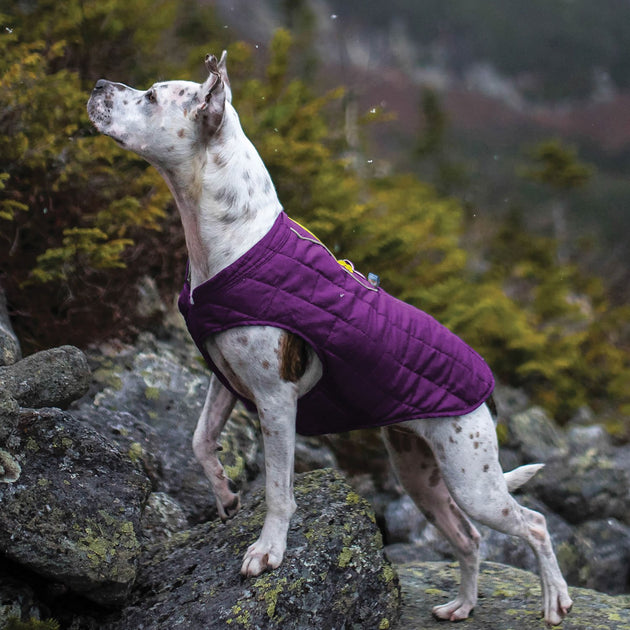 Kurgo Loft Jacket Dog Coat from Kurgo – Riding Harness Stuff