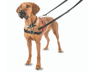 The Company of Animals Dog Harness Halti Front Control Dog Harness