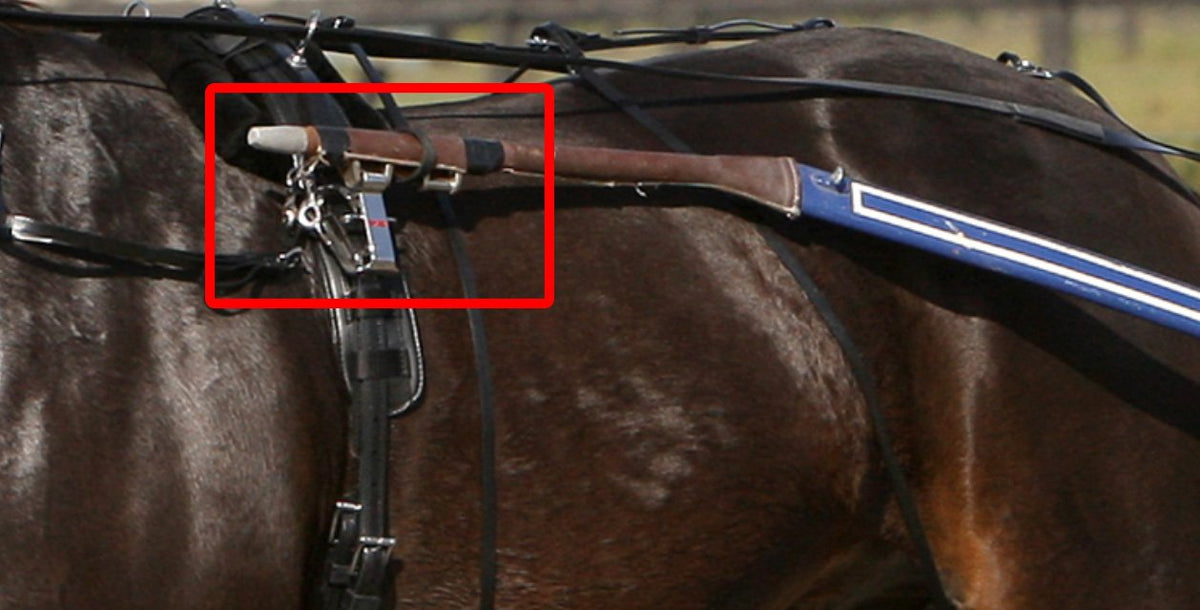 Zilco Quick Release Shaft Fittings from Zilco Riding & Harness Stuff