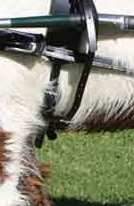 Zilco Zilco SL False Bellyband - Mini, Shetland/Small Pony