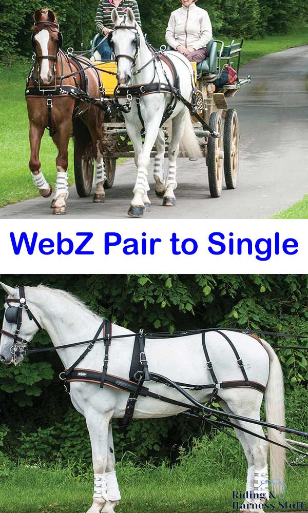 Zilco Zilco WebZ Pair to Single Conversion