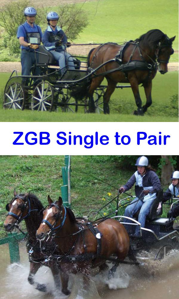 Zilco Zilco ZGB Single to Pair Conversion