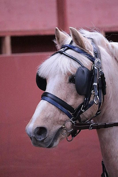 Do You Have To Use Blinkers When Driving Your Horse?