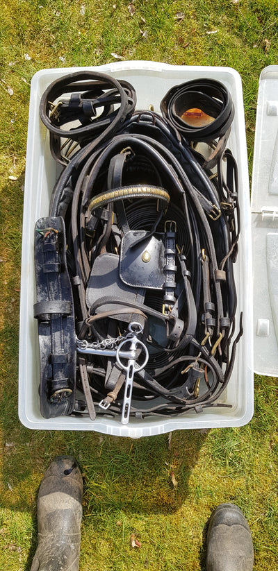Set of Leather Harness, Cob Size