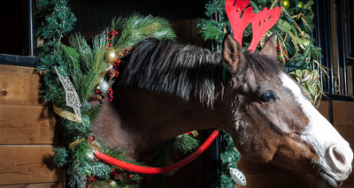 All Wrapped Up: Equestrian Christmas Gift Guide 2021