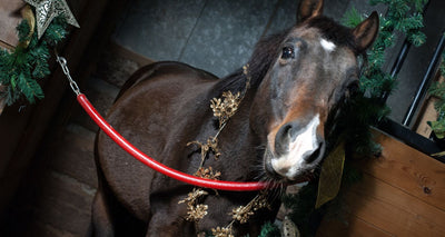 It’s Beginning to Look a Lot Like Christmas: Equestrian Gift Guide 2022