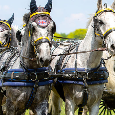 Does my horse need a harness pad?