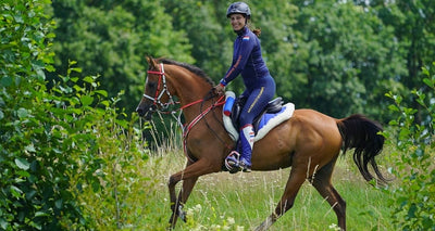 Getting Started with Endurance Riding