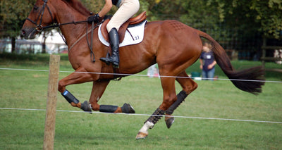 How to Get Started with Eventing: Preparation and What to Wear