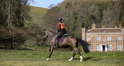 How to Prepare for Your First Endurance Riding Event