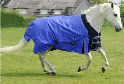 Turnout Rug Guide | 2021 Collection