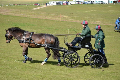 Keeping Yourself Safe Carriage Driving and Dealing with an Emergency