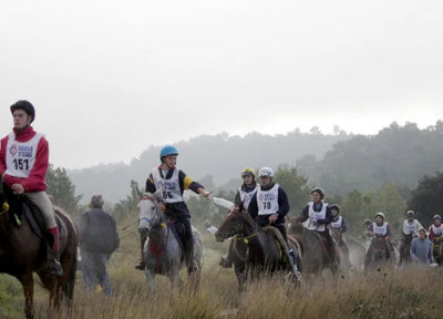 About Endurance Riding