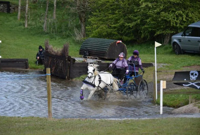 An Introduction to Driving Trials by Jane Squirrell