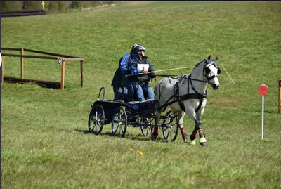 Suitability of a horse/pony for horse driving trials