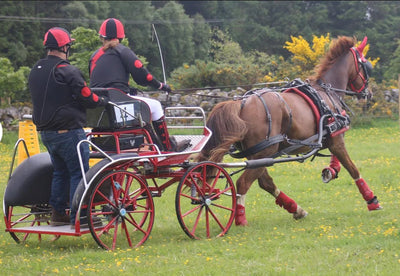 Carriage Driving Clubs