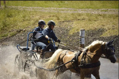 About Combined Driving – Horse Driving Trials