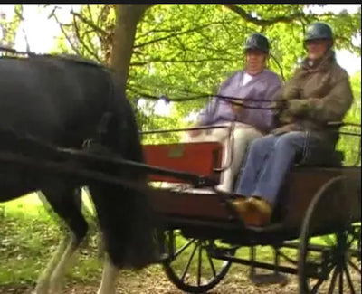 RDA Carriage Driving