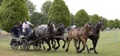 Royal Windsor Horse Show 2012 – Carriage Marathon
