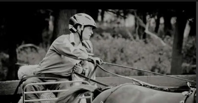 Windsor 2010 Carriage Driving Championships Vid 1 B&W