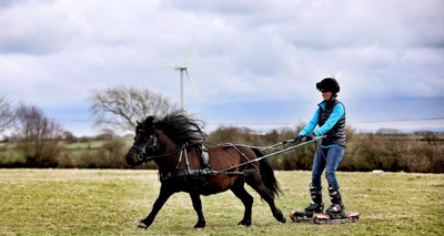 A Guide to Summer Fun with Your Horse
