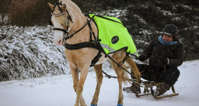 A Guide to Winter Fun with Your Horse