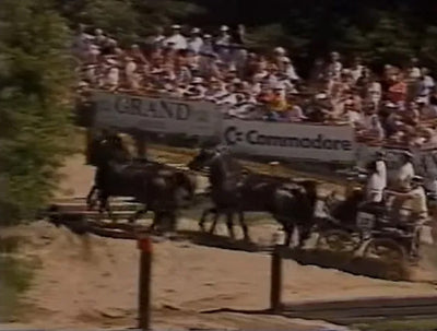 World Equestrian Games 1990: Driving, George Bowman (GB) 2
